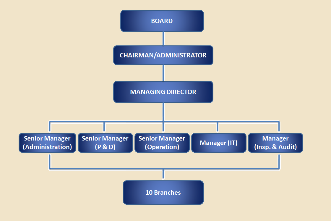 Organization-Structure